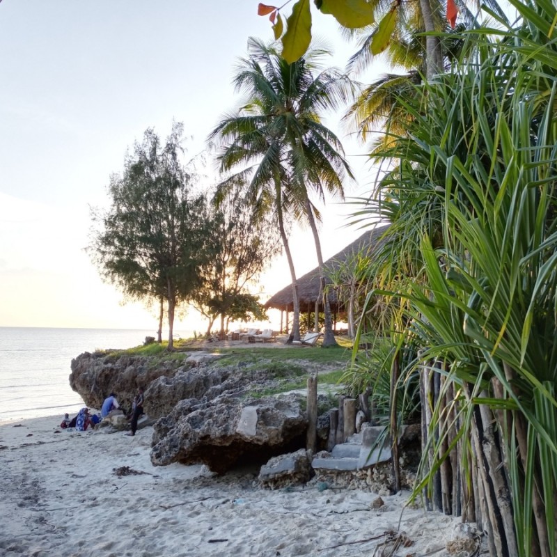 Vente restaurant - Sud Zanzibar