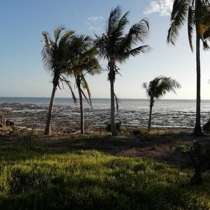 Vente hôtel - Bwejuu - Zanzibar
